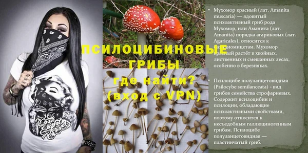 герыч Алексин