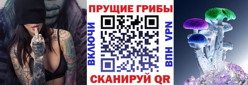 закладки  Белый  Псилоцибиновые грибы GOLDEN TEACHER 